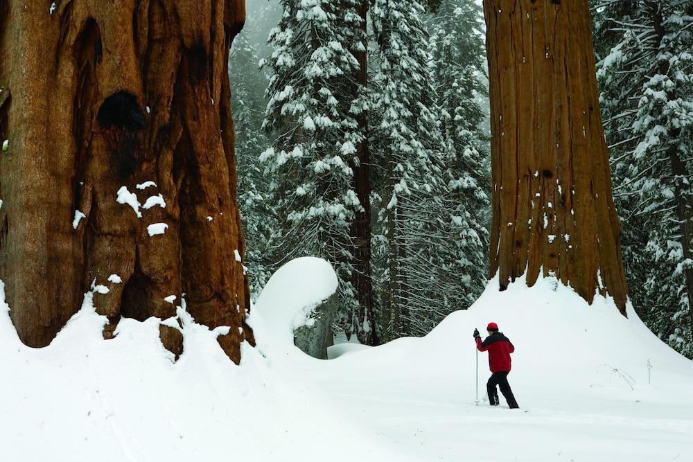 John Muir Lodge Hume Esterno foto