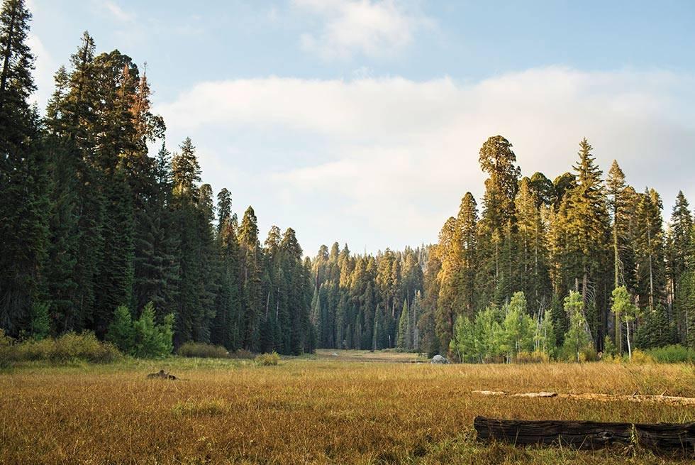 John Muir Lodge Hume Esterno foto