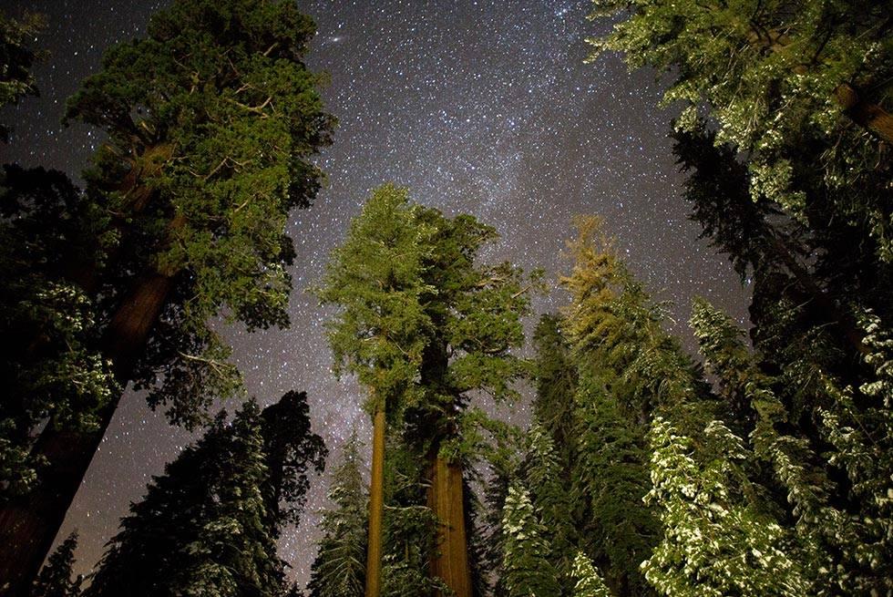 John Muir Lodge Hume Esterno foto