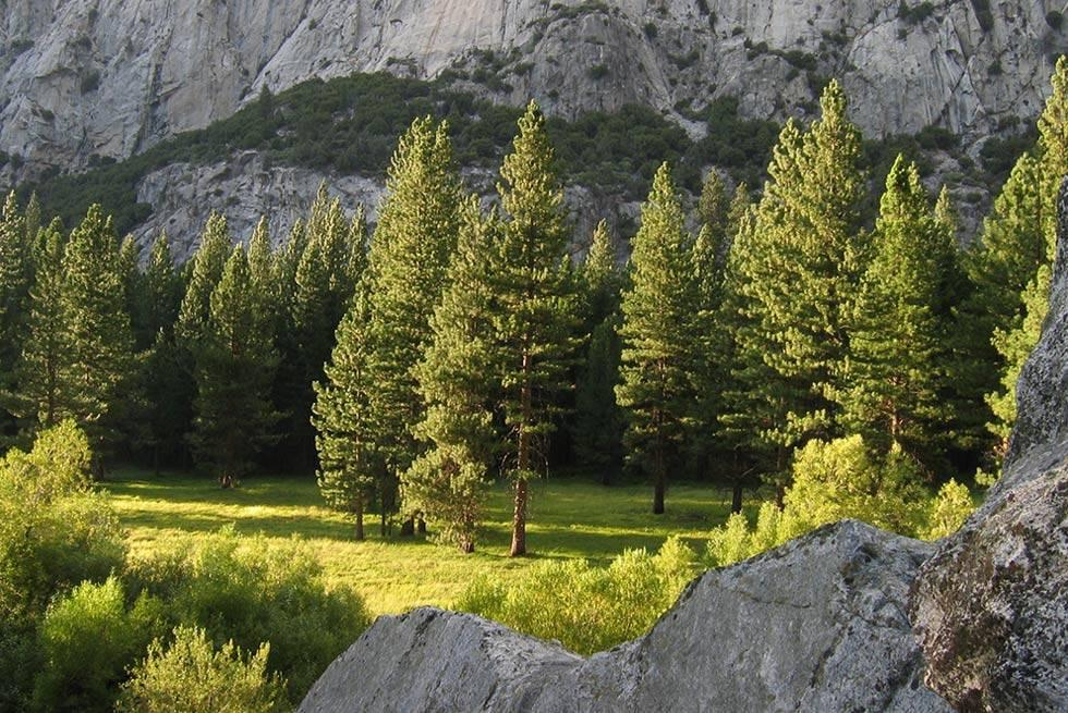 John Muir Lodge Hume Esterno foto