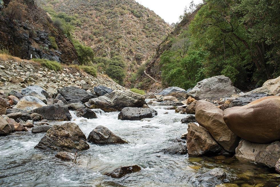 John Muir Lodge Hume Esterno foto