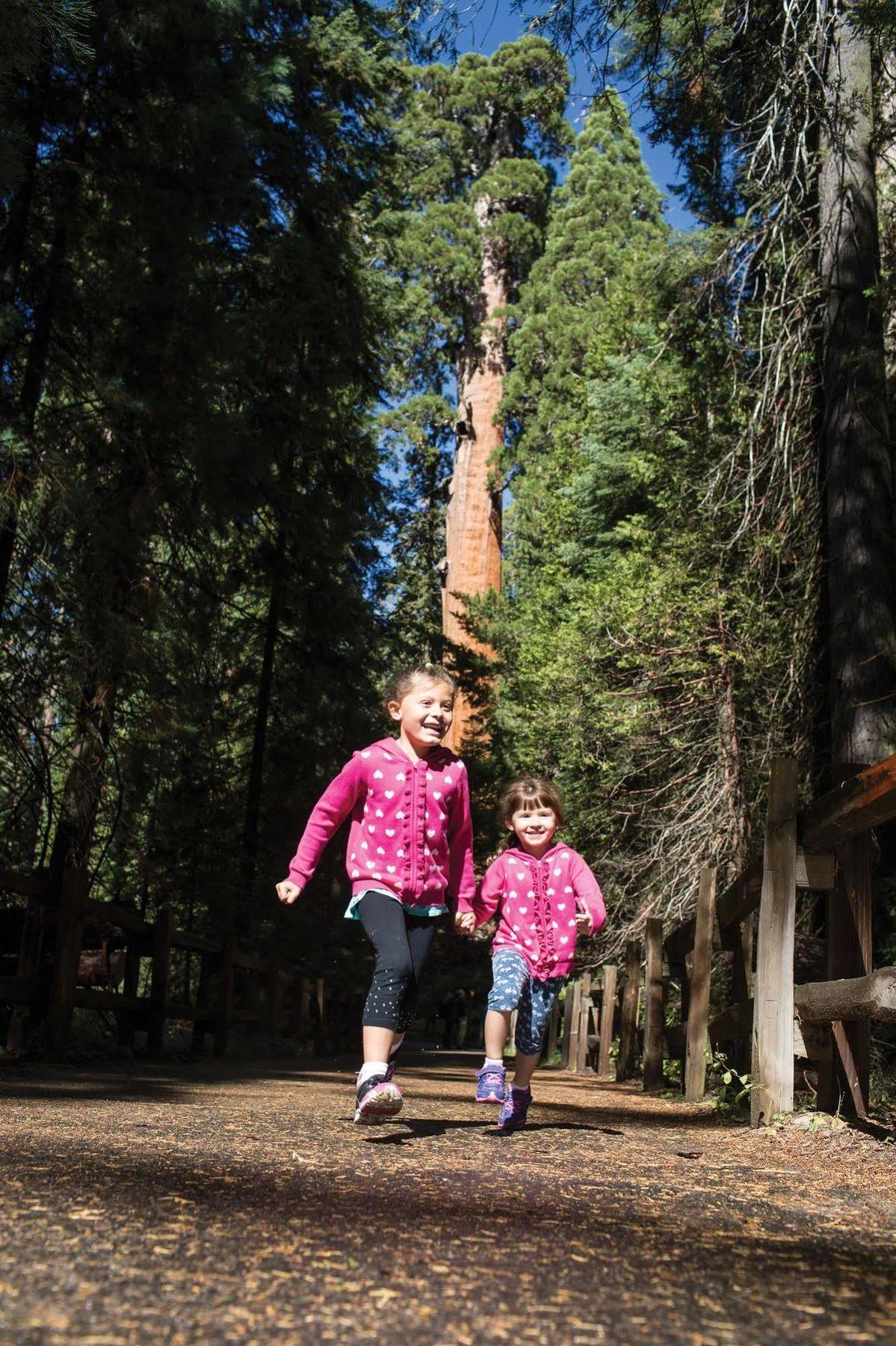 John Muir Lodge Hume Esterno foto