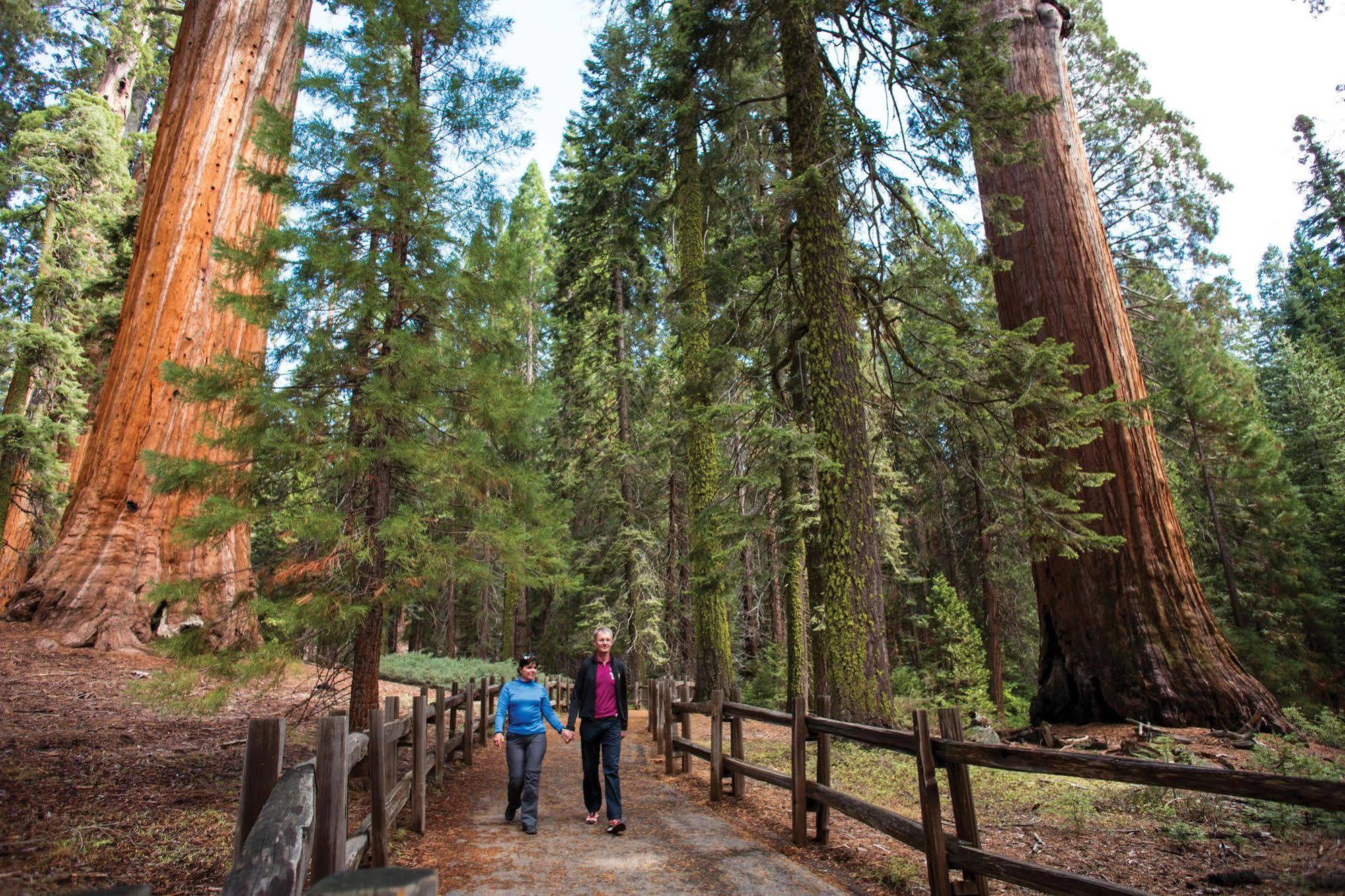 John Muir Lodge Hume Esterno foto